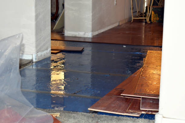 Professional Emergency Water Damage Restoration technician working in Hecker, IL